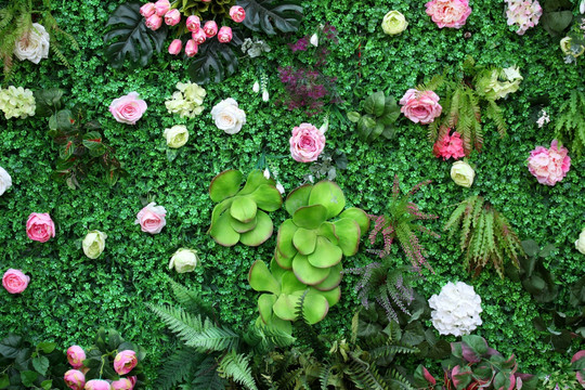 都市中的绿色诗篇 花墙与绿植墙的生态美学