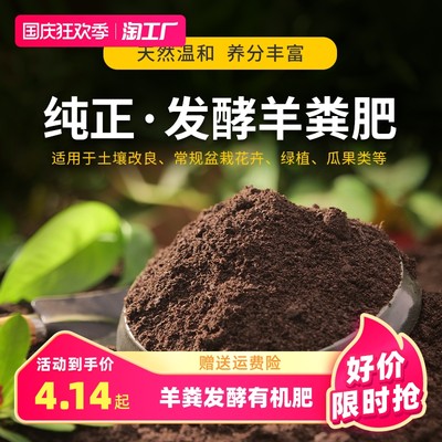 从阳台到心田 网购花卉绿植如何重塑现代生活美学